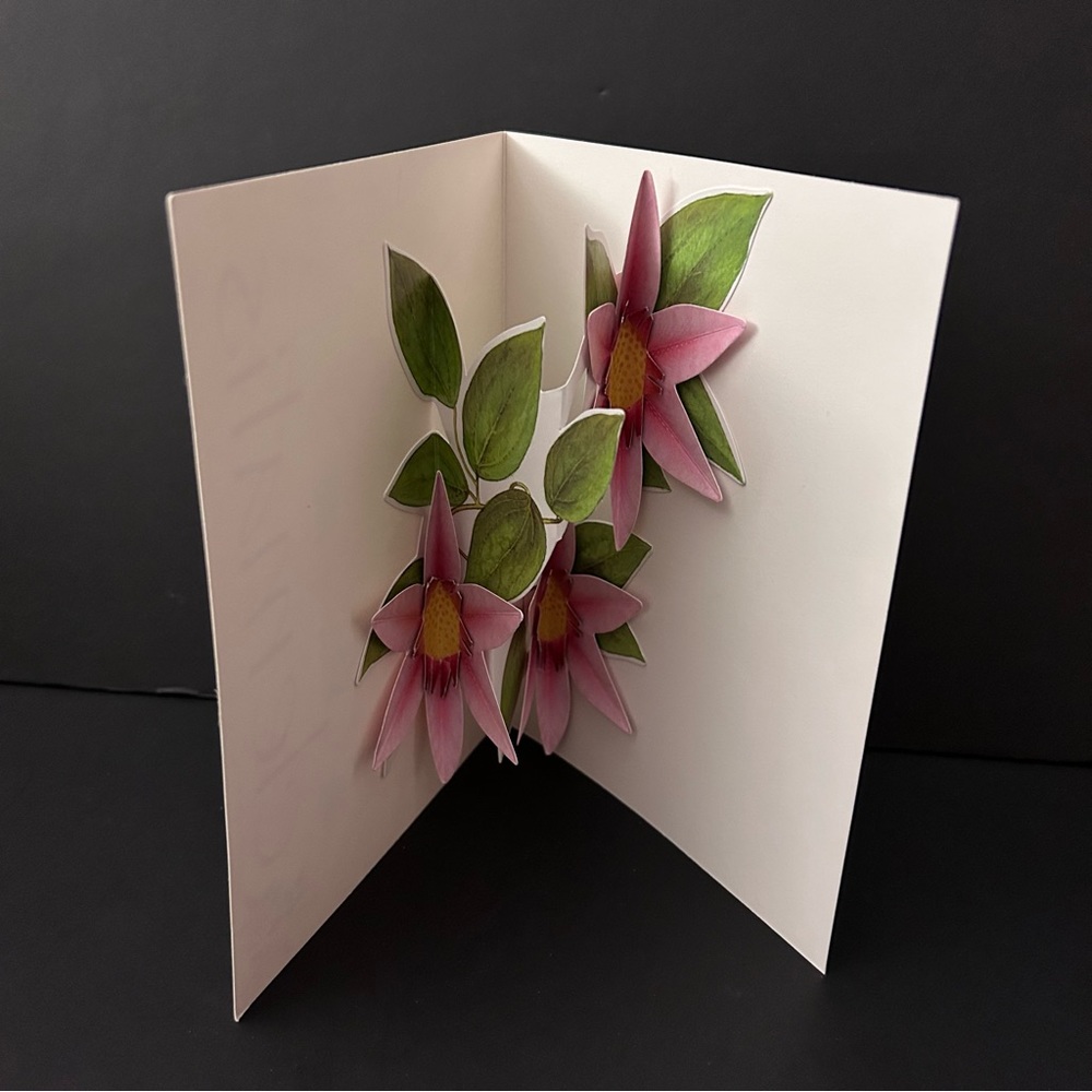 Pop-up card w/envelope - CLEMATIS